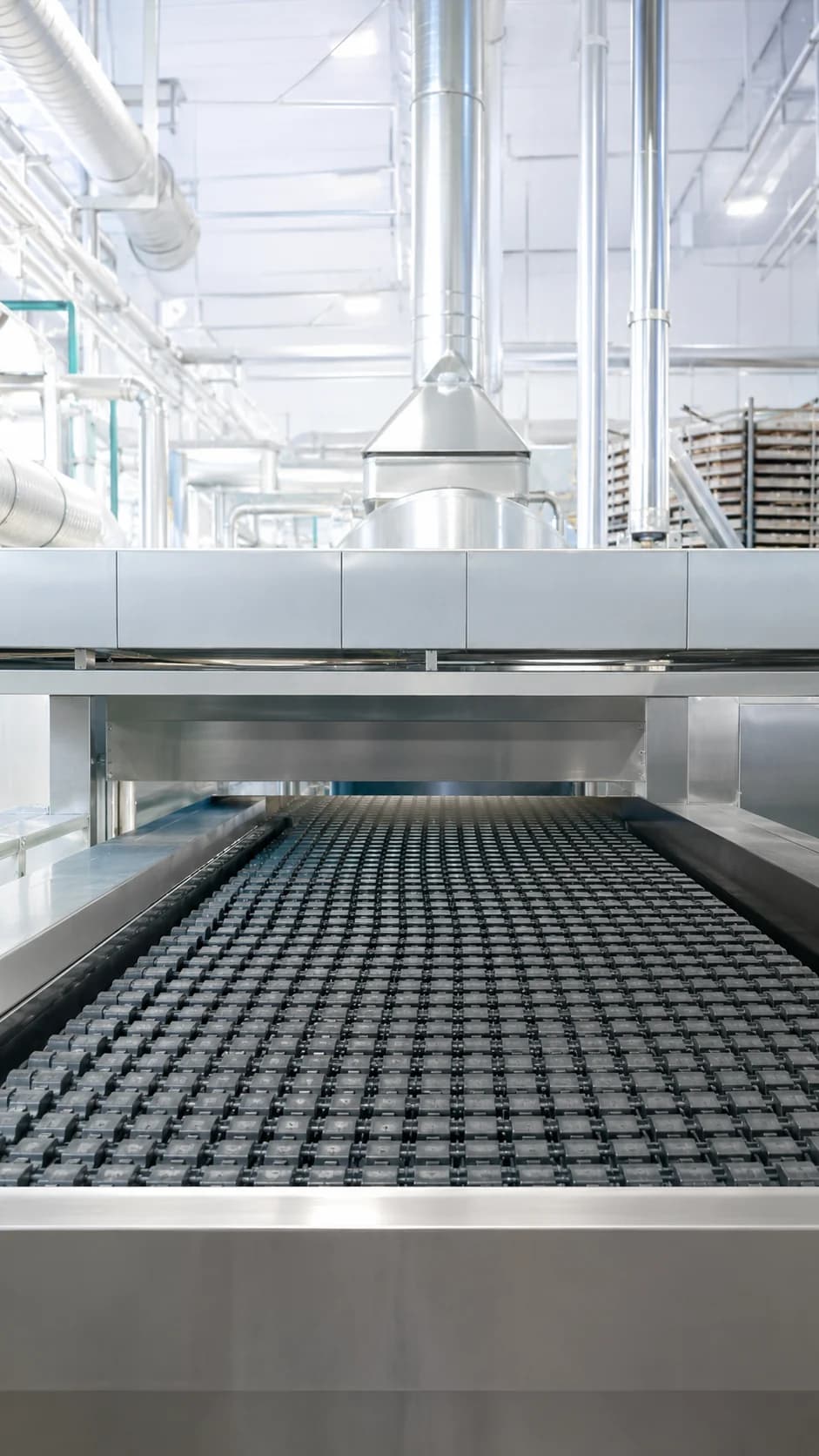 Tunnel oven of an industrial bakery with baking trays